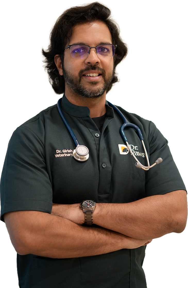 Dr. Girish VK